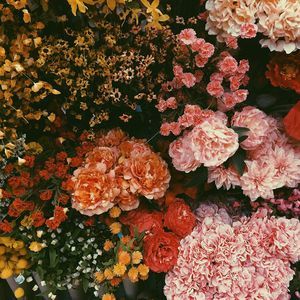 Meet your Posher, Nothanks